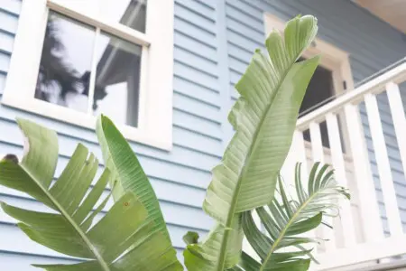 300a299a 85f8 4881 a057 ec955d488f0a.jpg