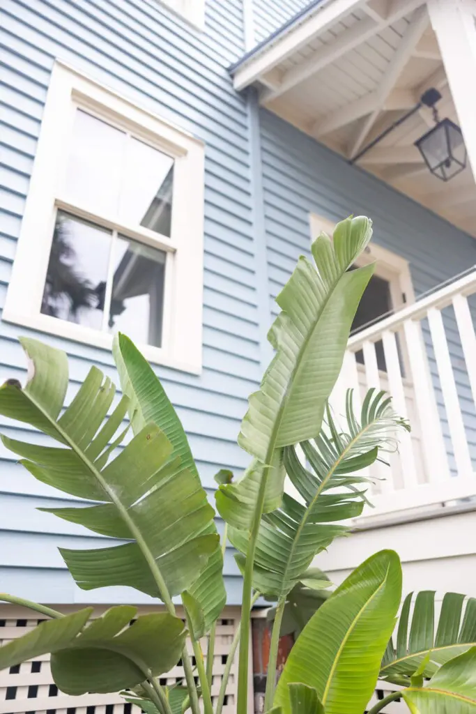 300a299a 85f8 4881 a057 ec955d488f0a.jpg