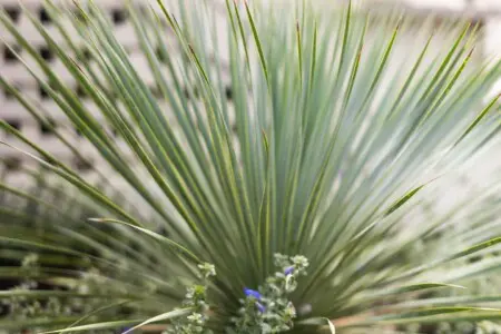 357c32ee 826f 41ea ae4e ec1e4e74ddb7.jpg