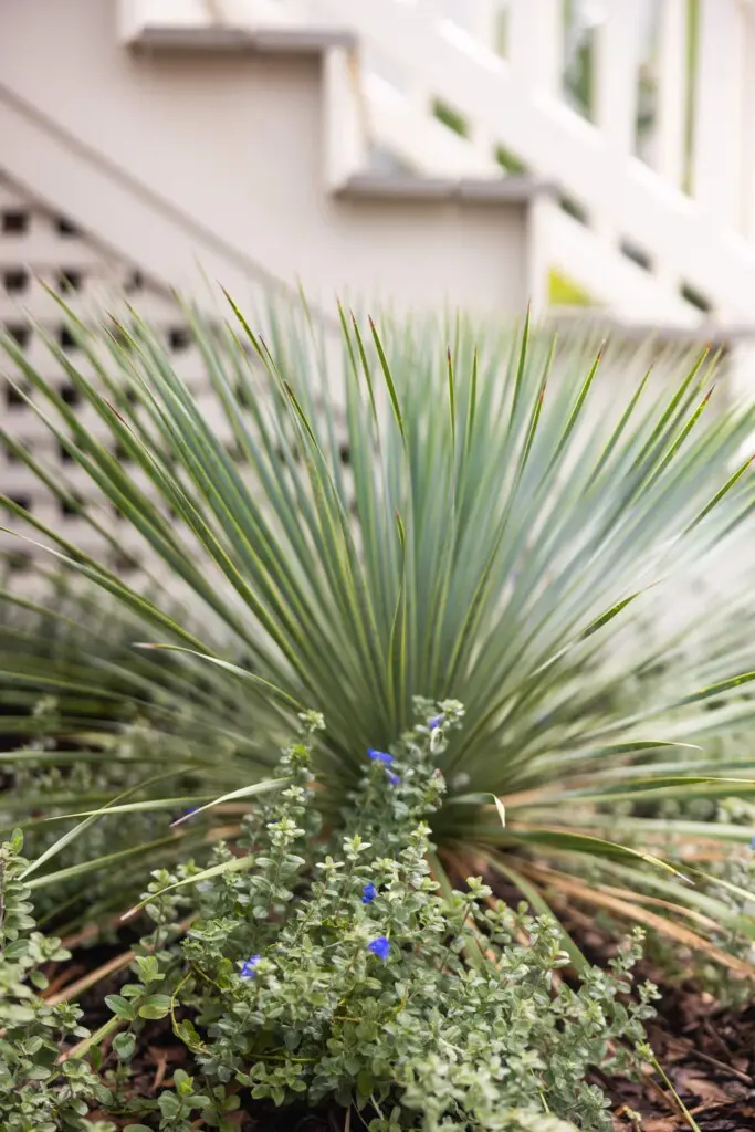 357c32ee 826f 41ea ae4e ec1e4e74ddb7.jpg